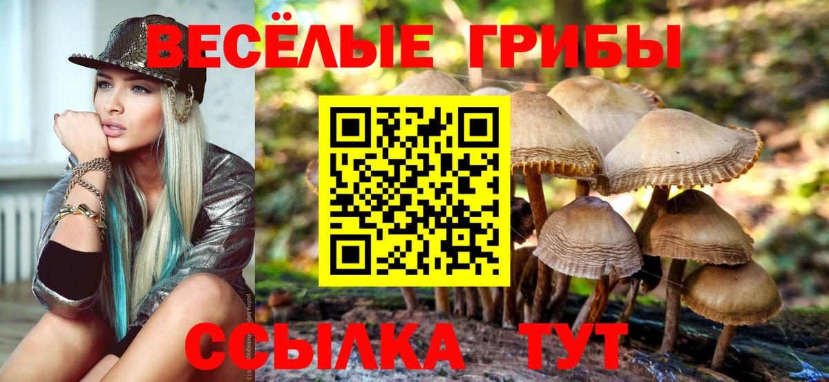 купить   Вход с VPN  Галлюциногенные грибы Psilocybine cubensis  Мурино  Псилоцибиновые грибы Cubensis 